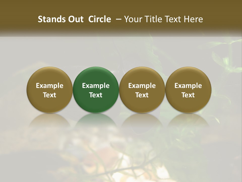 Paddle Scale Green PowerPoint Template