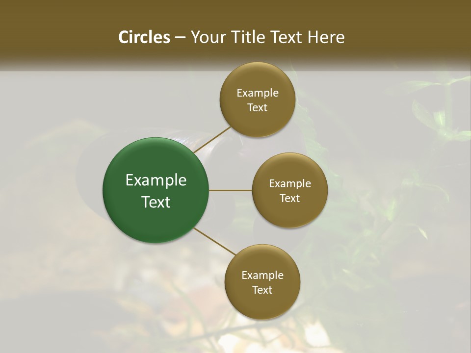 Paddle Scale Green PowerPoint Template