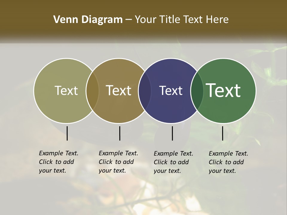Paddle Scale Green PowerPoint Template
