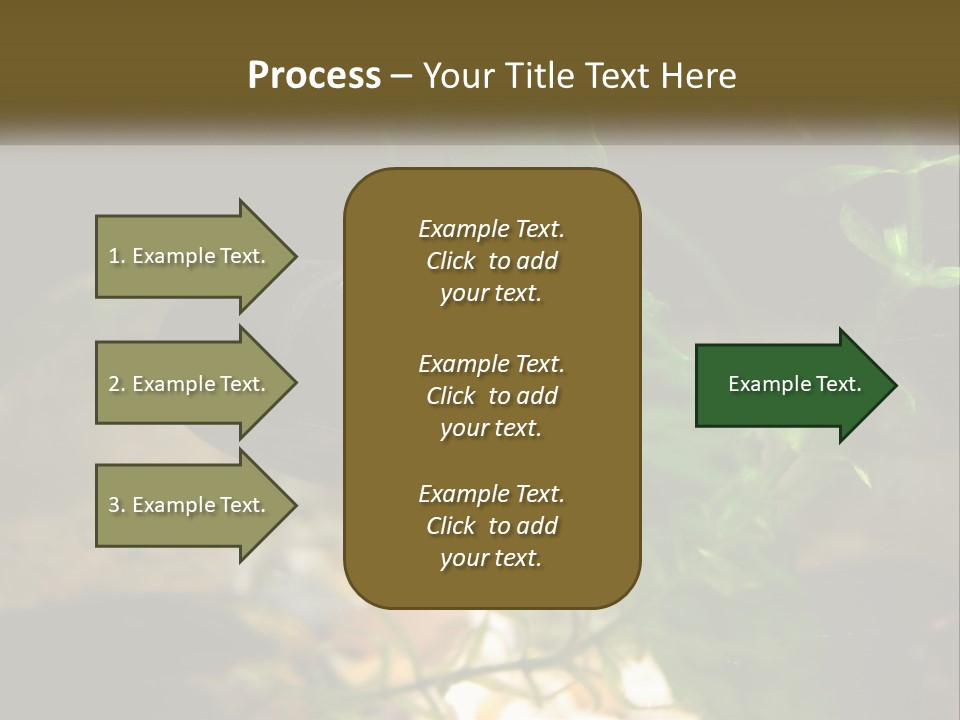 Paddle Scale Green PowerPoint Template