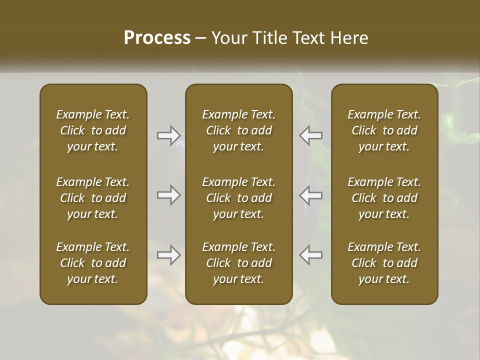 Paddle Scale Green PowerPoint Template