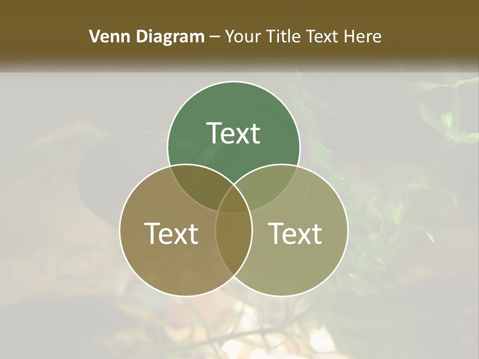 Paddle Scale Green PowerPoint Template