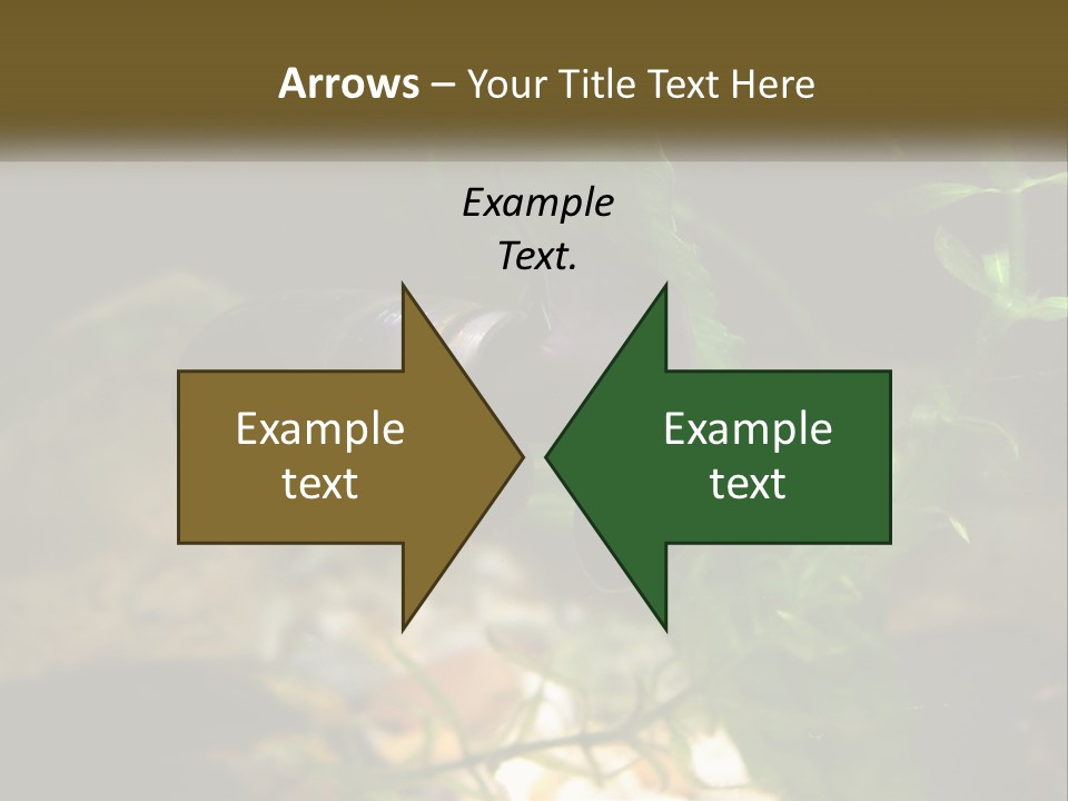 Paddle Scale Green PowerPoint Template