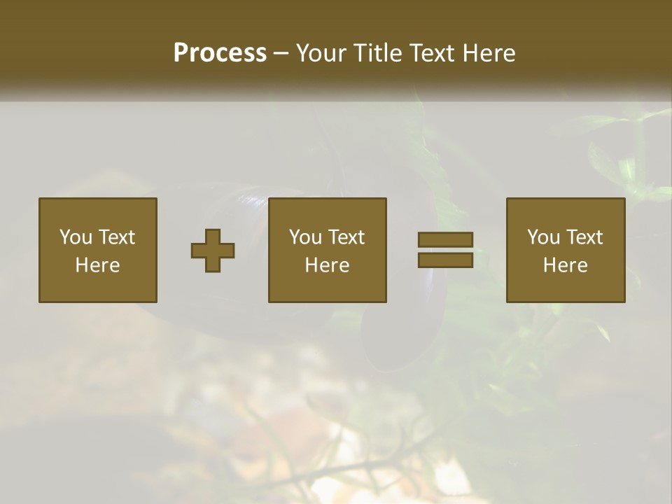 Paddle Scale Green PowerPoint Template