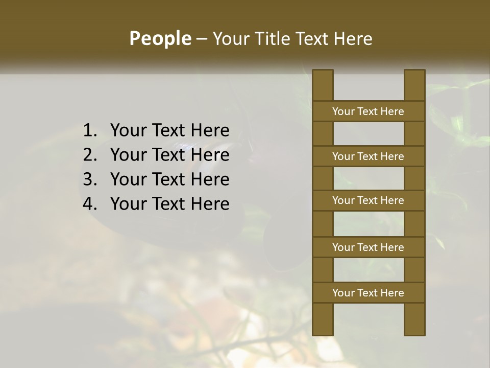 Paddle Scale Green PowerPoint Template