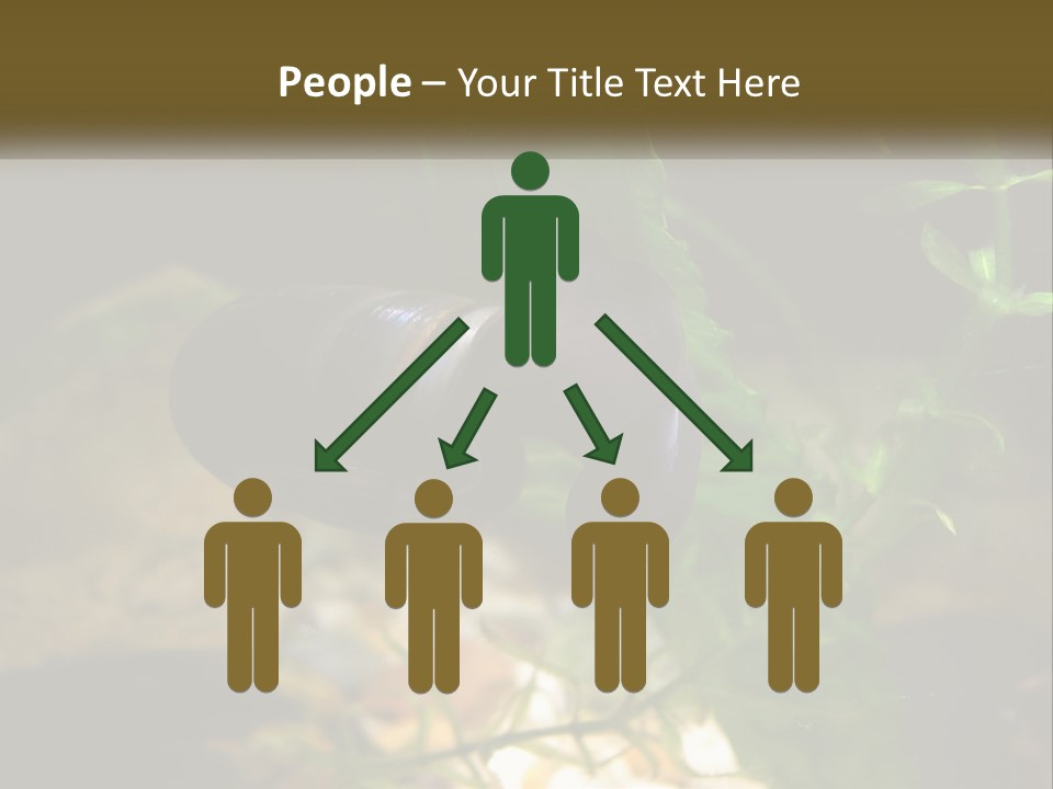 Paddle Scale Green PowerPoint Template