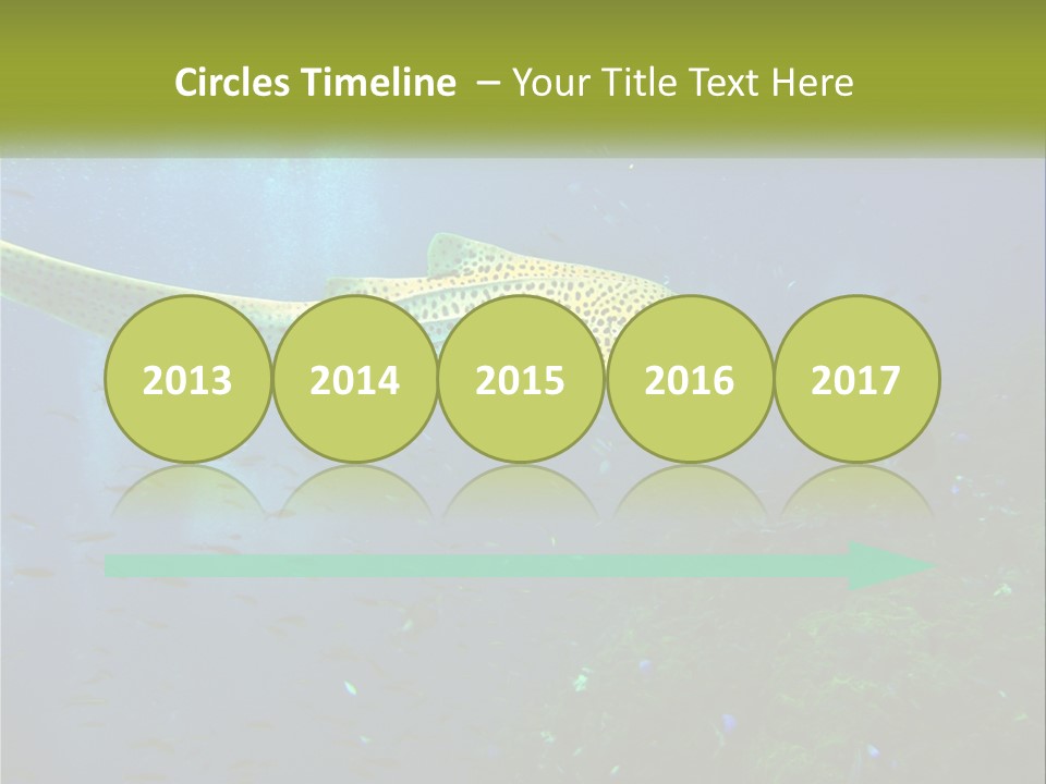 Peace Thailand Underwater PowerPoint Template