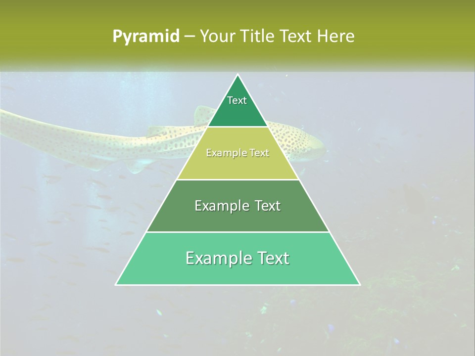 Peace Thailand Underwater PowerPoint Template