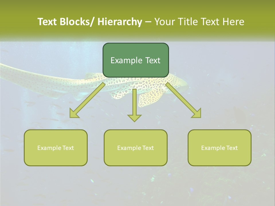 Peace Thailand Underwater PowerPoint Template