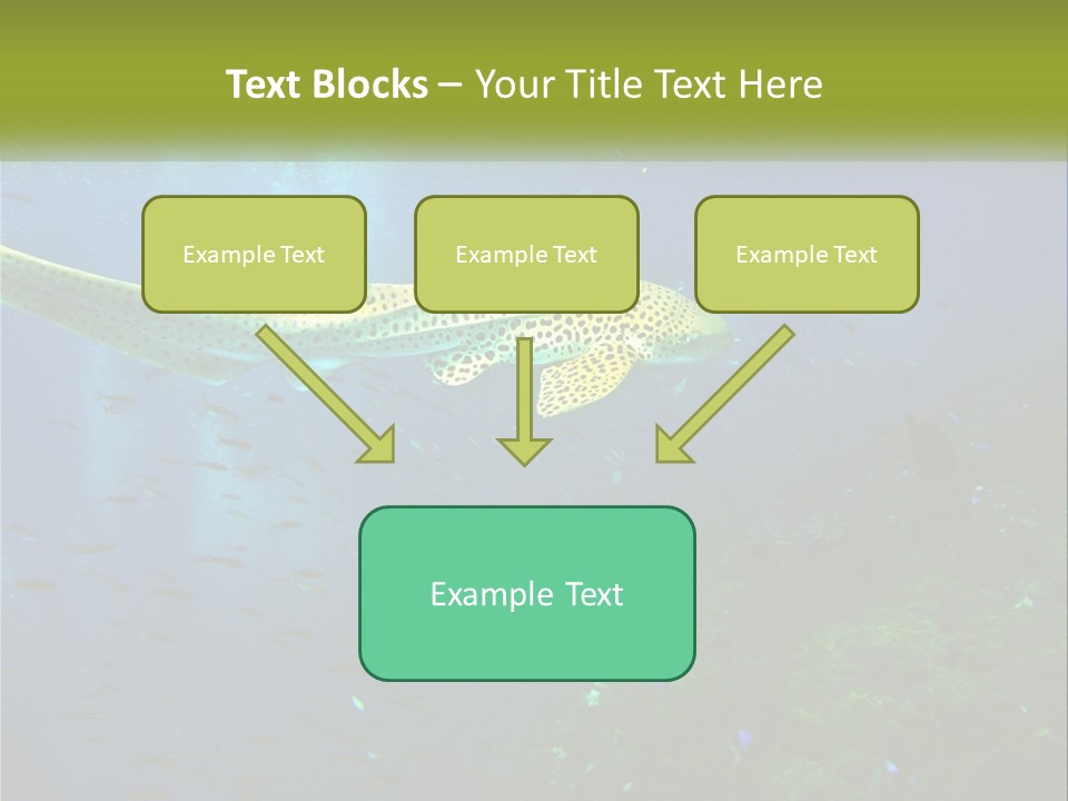 Peace Thailand Underwater PowerPoint Template