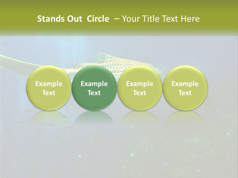 Peace Thailand Underwater PowerPoint Template