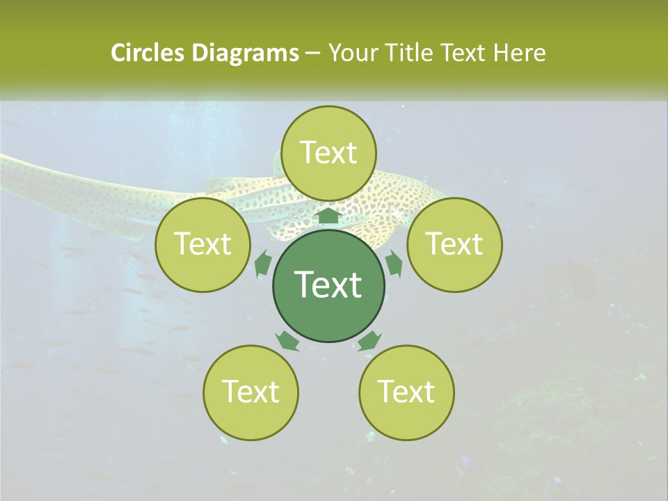 Peace Thailand Underwater PowerPoint Template