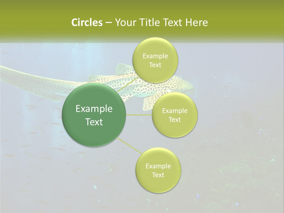 Peace Thailand Underwater PowerPoint Template