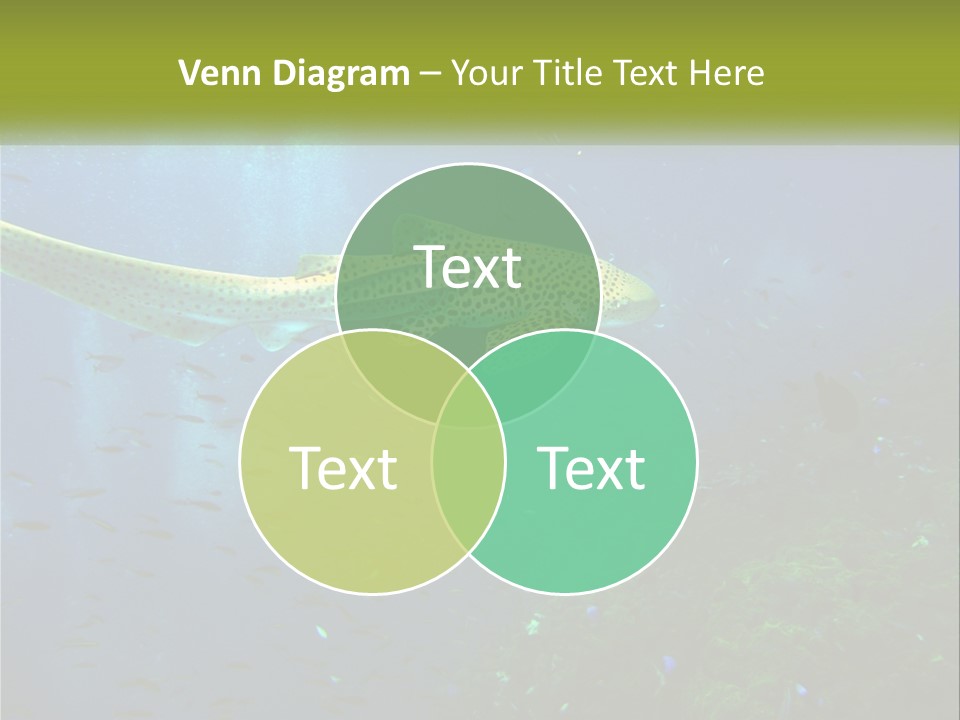 Peace Thailand Underwater PowerPoint Template