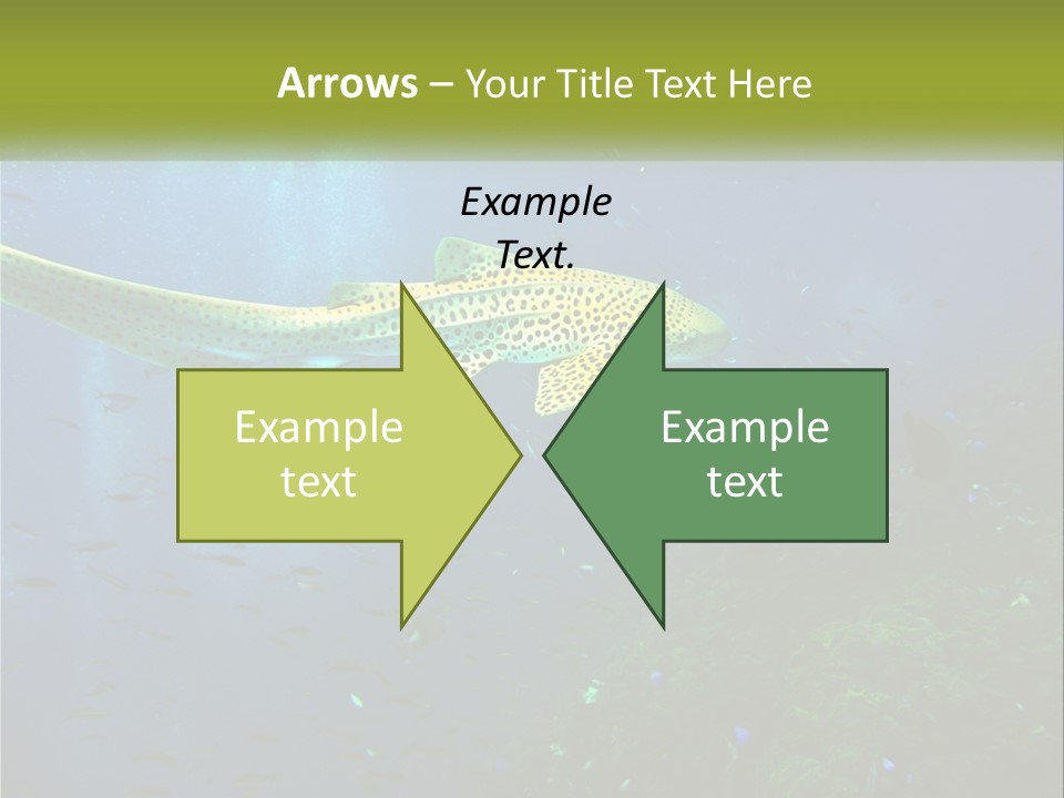 Peace Thailand Underwater PowerPoint Template