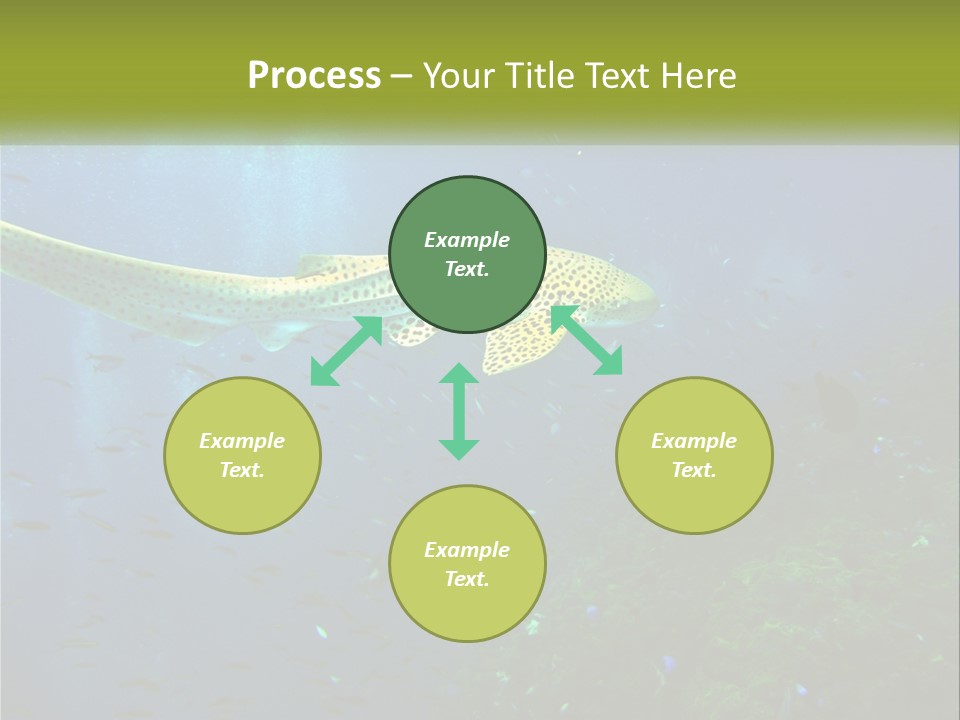 Peace Thailand Underwater PowerPoint Template