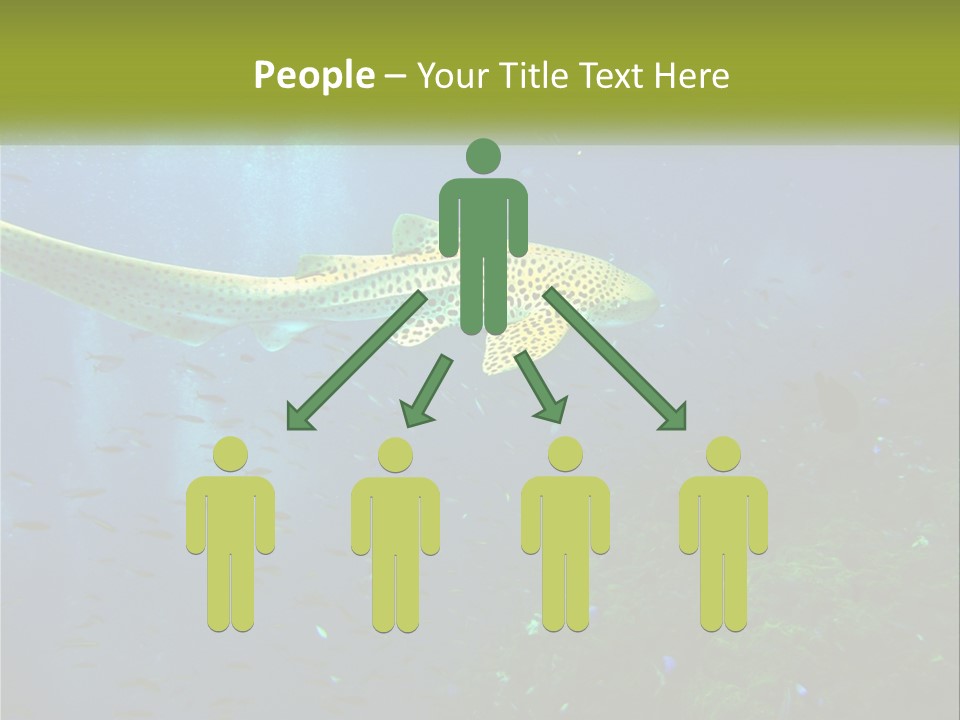 Peace Thailand Underwater PowerPoint Template