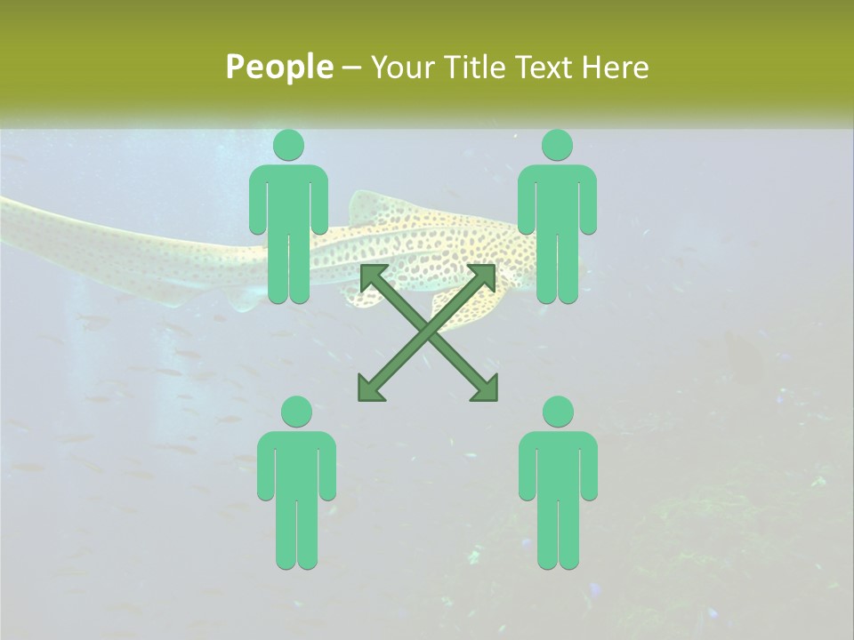 Peace Thailand Underwater PowerPoint Template