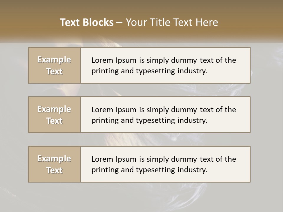 Contrast White Hair PowerPoint Template