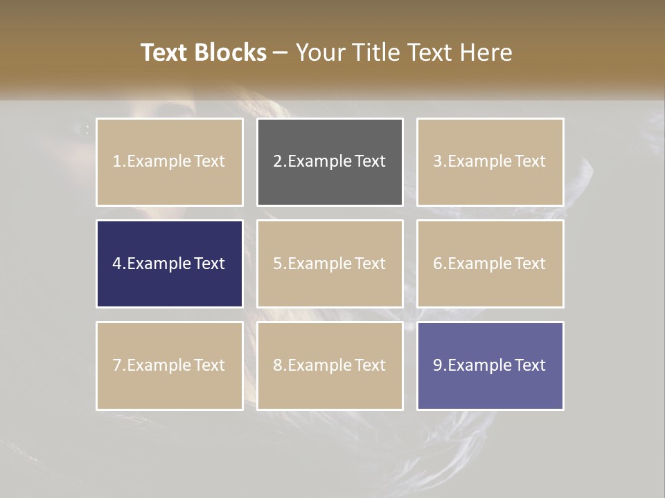 Contrast White Hair PowerPoint Template