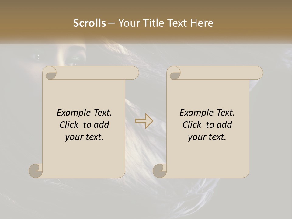 Contrast White Hair PowerPoint Template