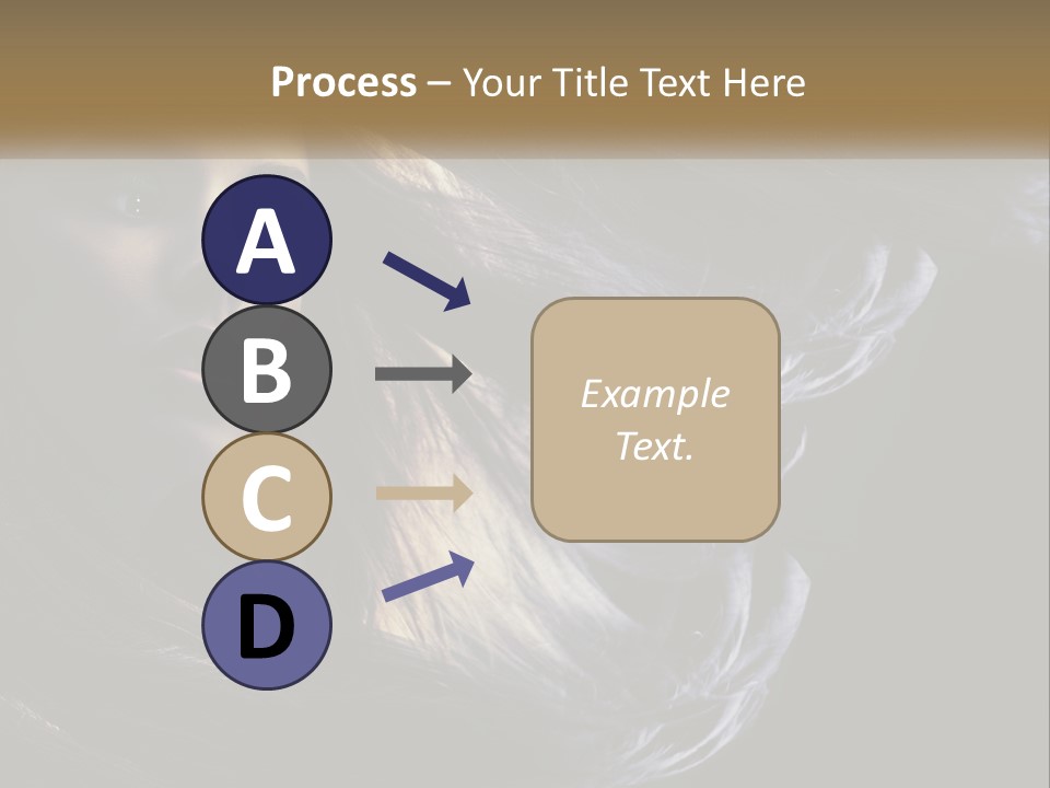 Contrast White Hair PowerPoint Template