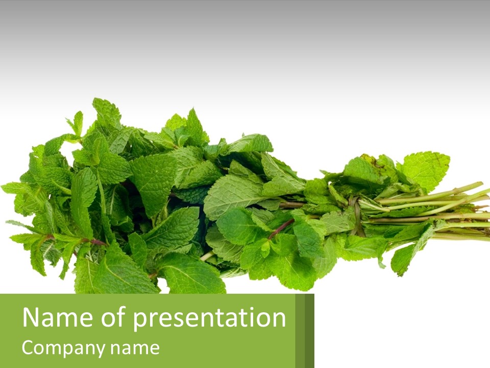 Aroma Recipe Mint PowerPoint Template