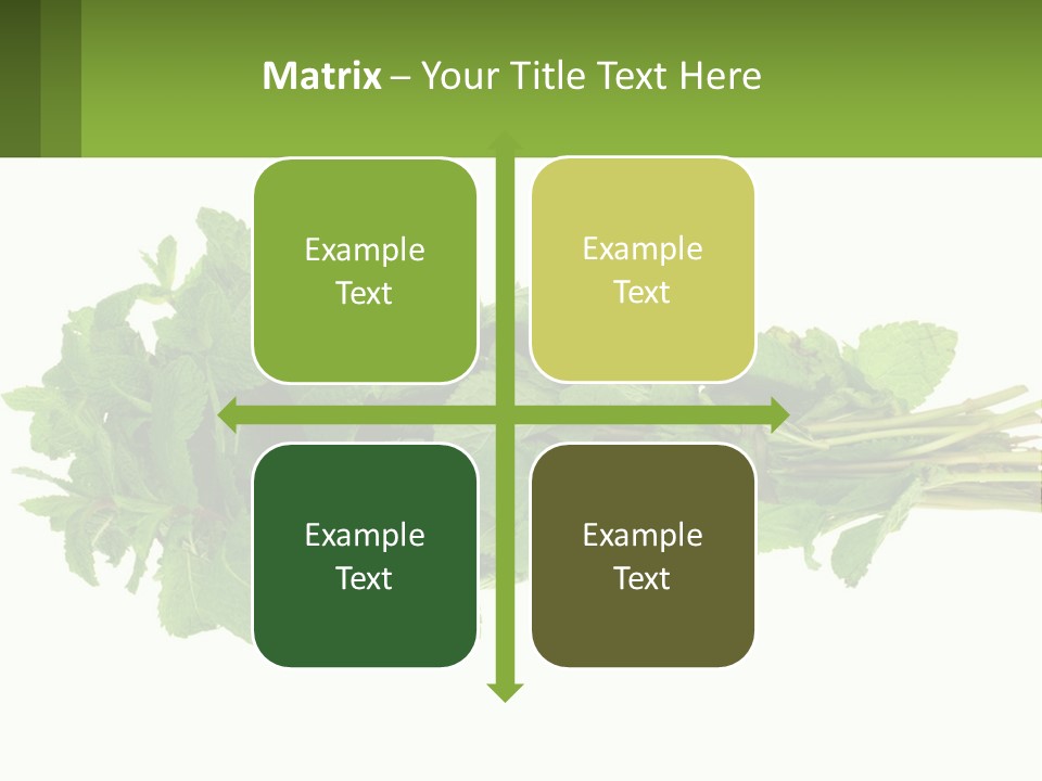 Aroma Recipe Mint PowerPoint Template