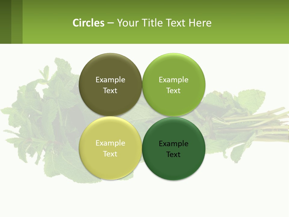Aroma Recipe Mint PowerPoint Template