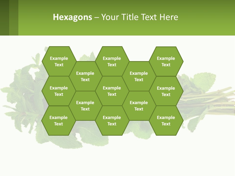 Aroma Recipe Mint PowerPoint Template