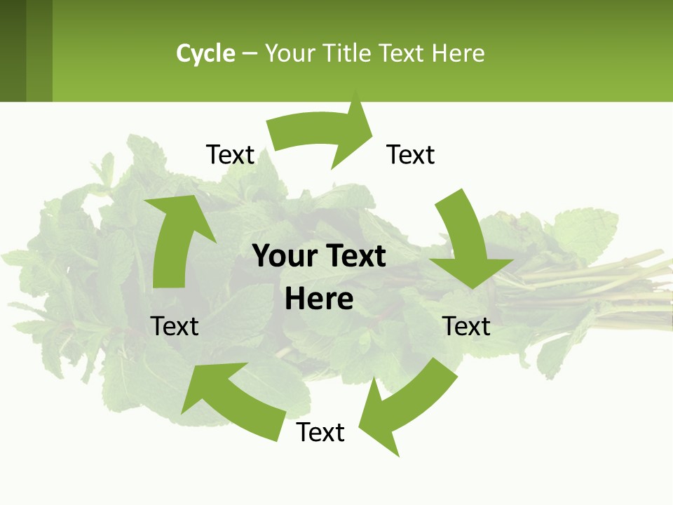 Aroma Recipe Mint PowerPoint Template
