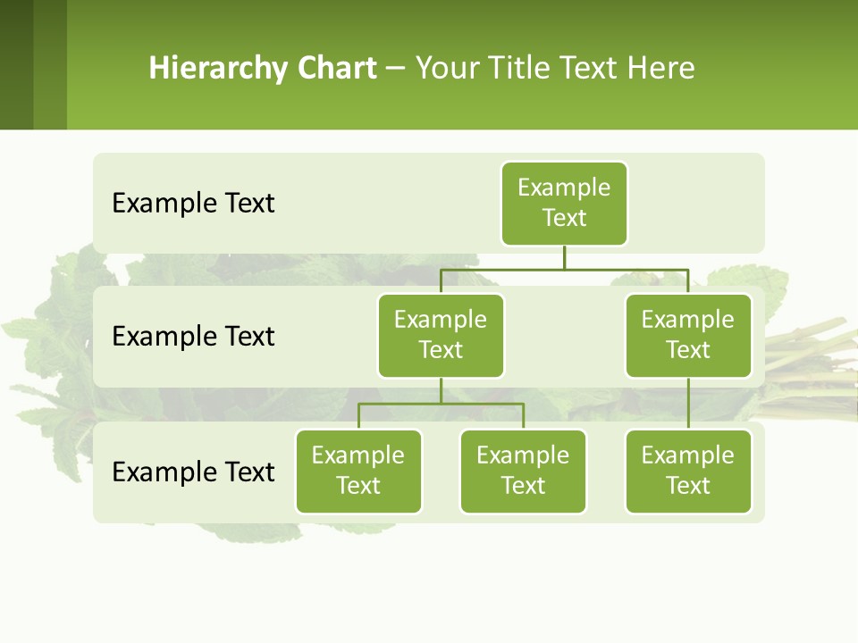Aroma Recipe Mint PowerPoint Template