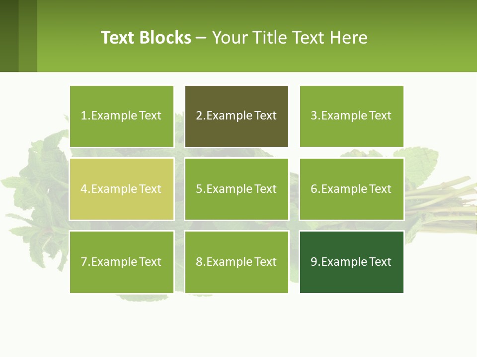 Aroma Recipe Mint PowerPoint Template