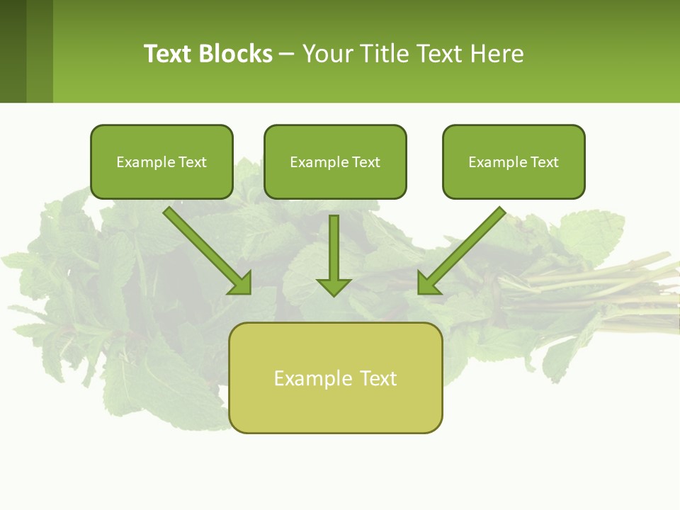 Aroma Recipe Mint PowerPoint Template