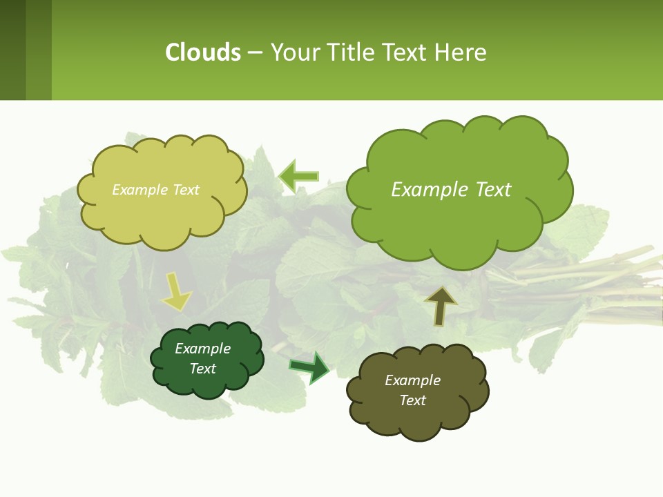Aroma Recipe Mint PowerPoint Template