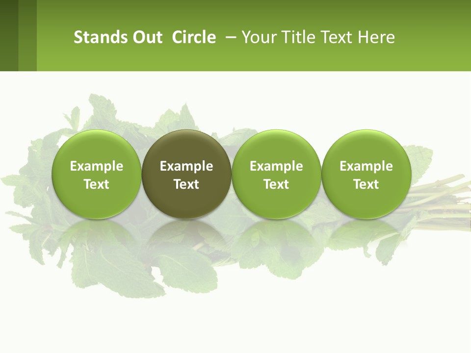 Aroma Recipe Mint PowerPoint Template