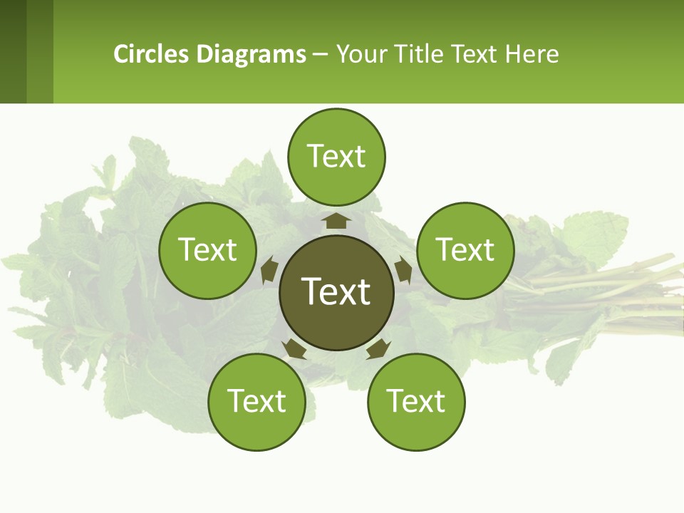 Aroma Recipe Mint PowerPoint Template