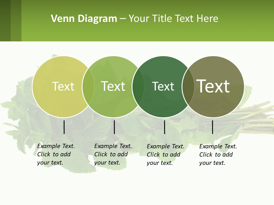 Aroma Recipe Mint PowerPoint Template