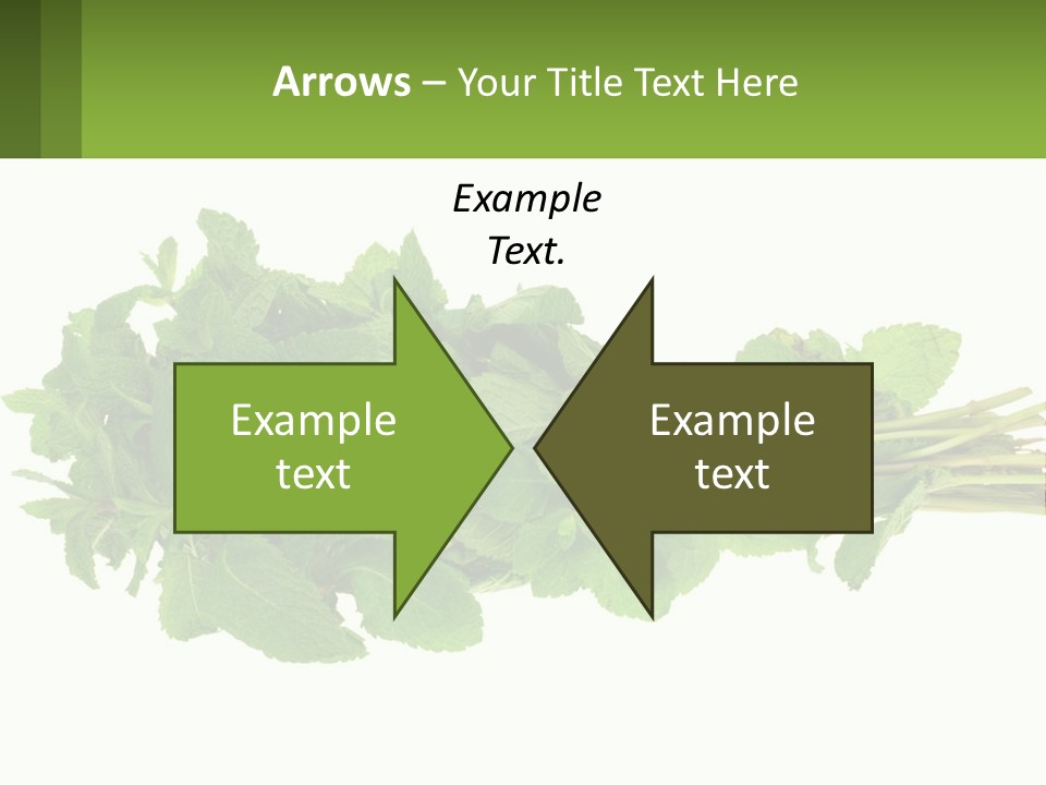 Aroma Recipe Mint PowerPoint Template