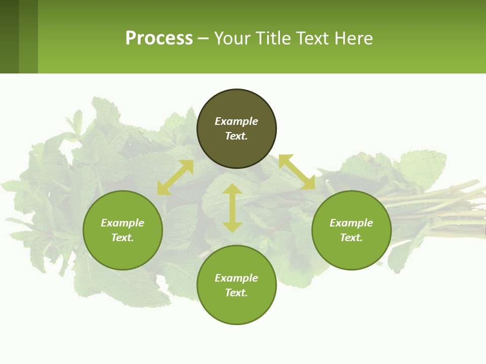 Aroma Recipe Mint PowerPoint Template