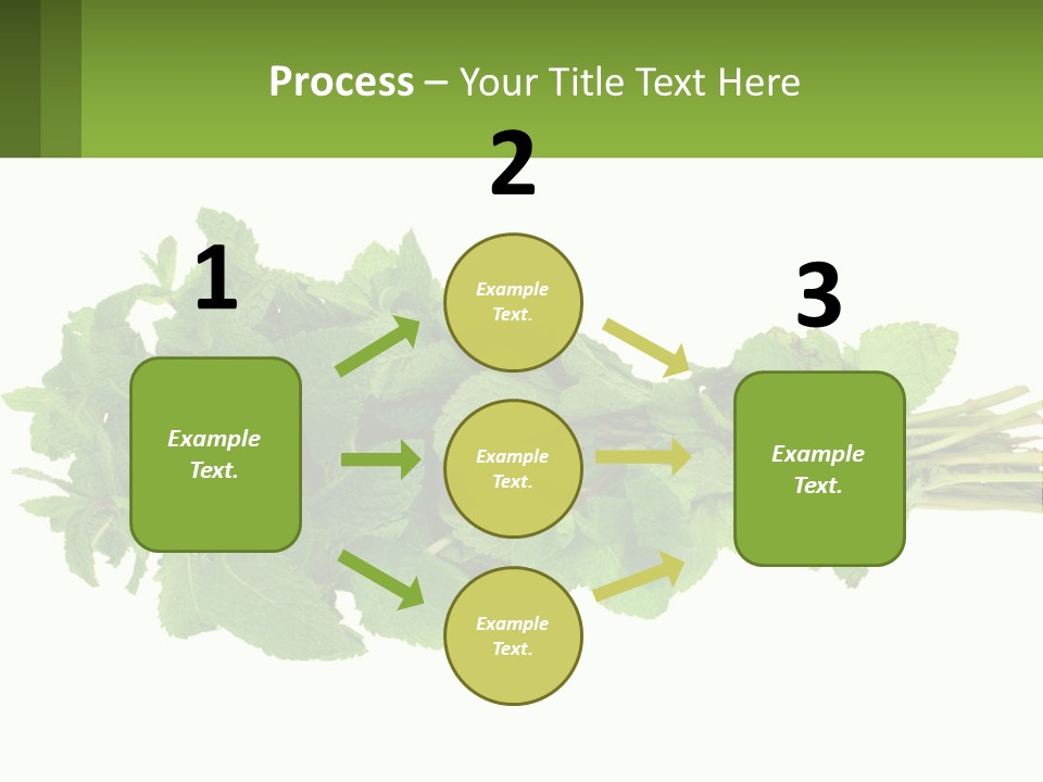 Aroma Recipe Mint PowerPoint Template