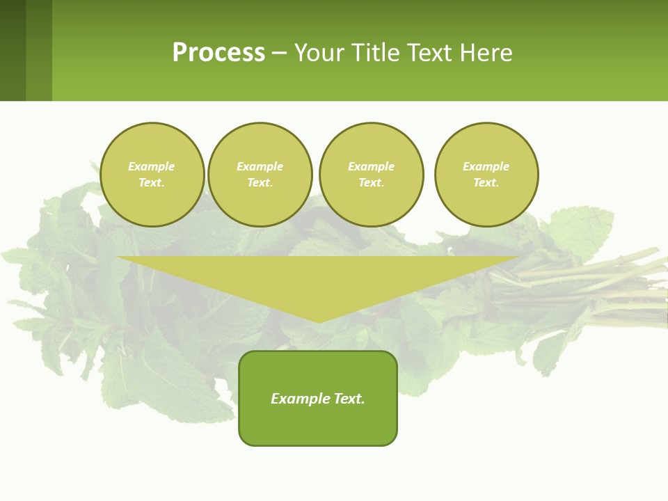 Aroma Recipe Mint PowerPoint Template