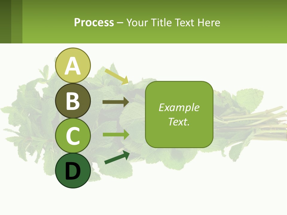 Aroma Recipe Mint PowerPoint Template