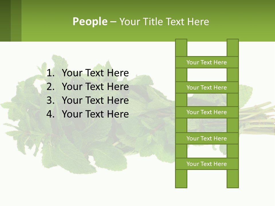 Aroma Recipe Mint PowerPoint Template