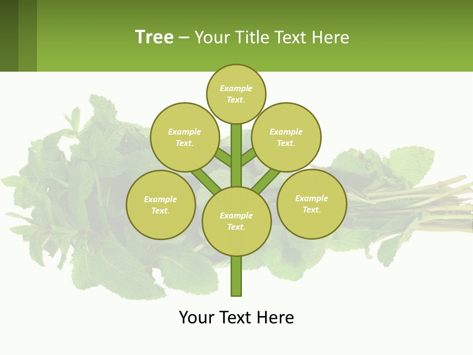 Aroma Recipe Mint PowerPoint Template