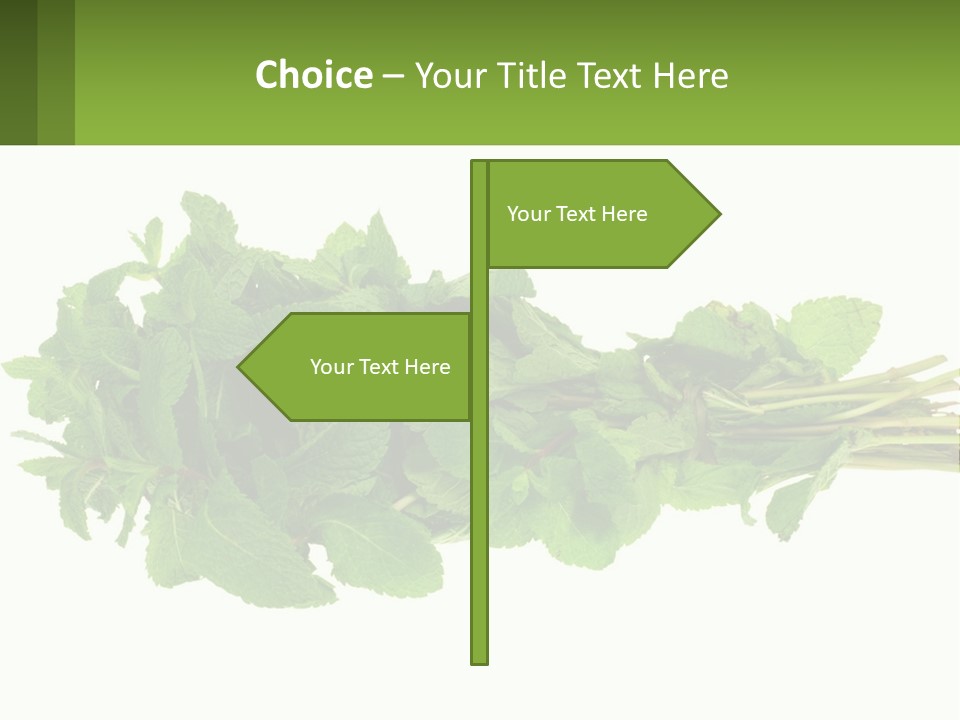 Aroma Recipe Mint PowerPoint Template