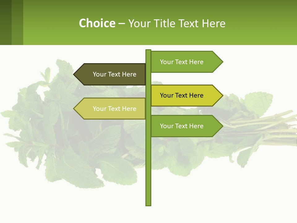 Aroma Recipe Mint PowerPoint Template