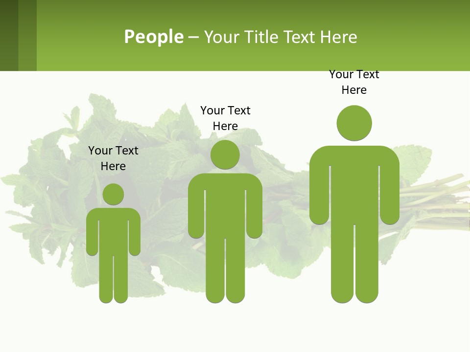 Aroma Recipe Mint PowerPoint Template