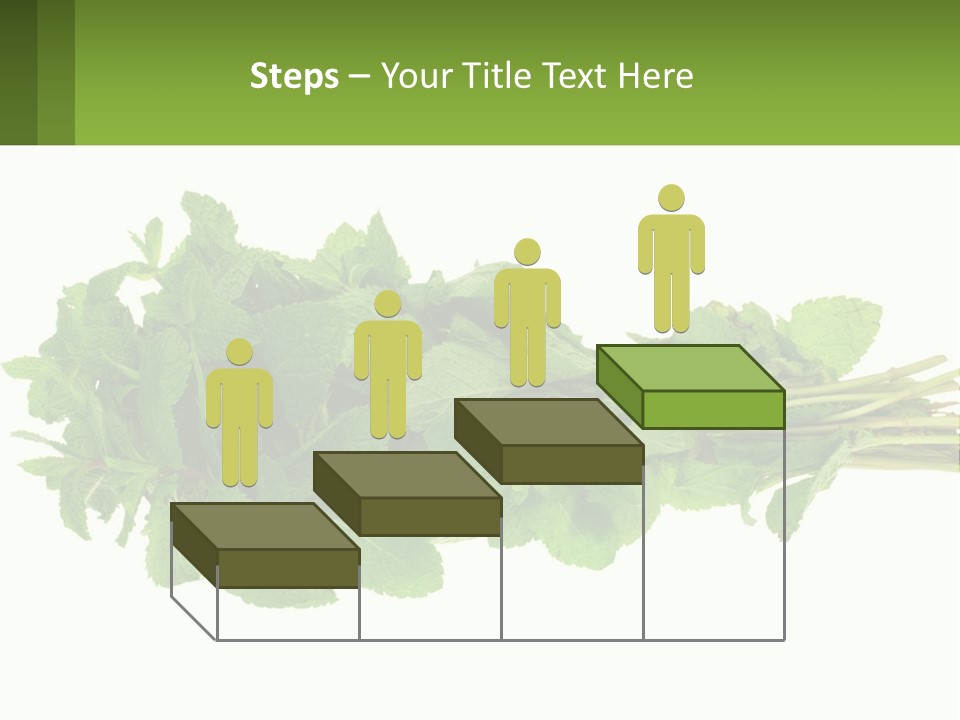 Aroma Recipe Mint PowerPoint Template