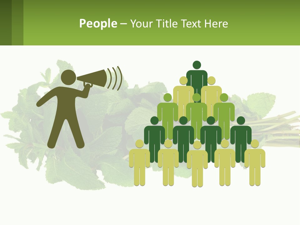 Aroma Recipe Mint PowerPoint Template